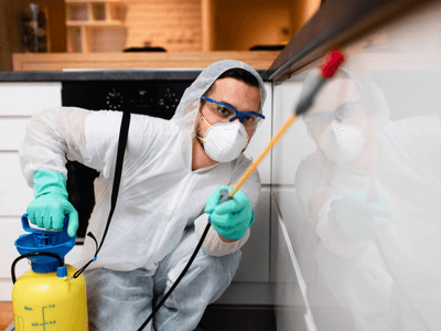 About Vineland Exterminator - pest control services experts in Vineland