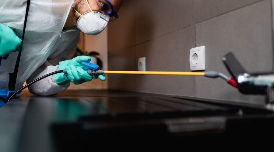 Why choose Vineland Exterminator for pest control services in Vineland